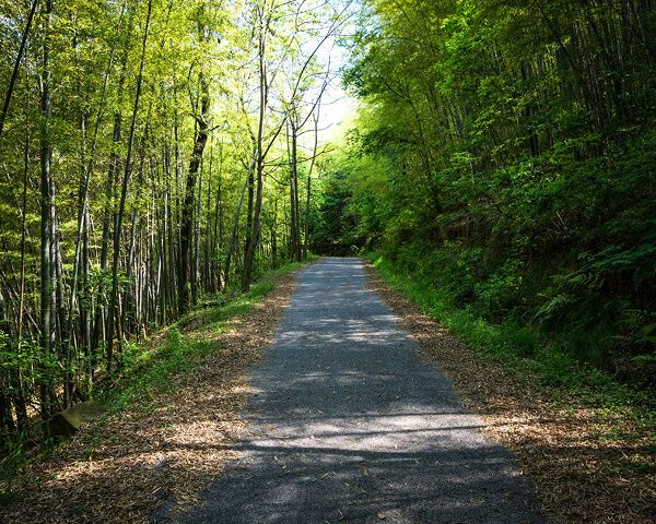 Изображение-2