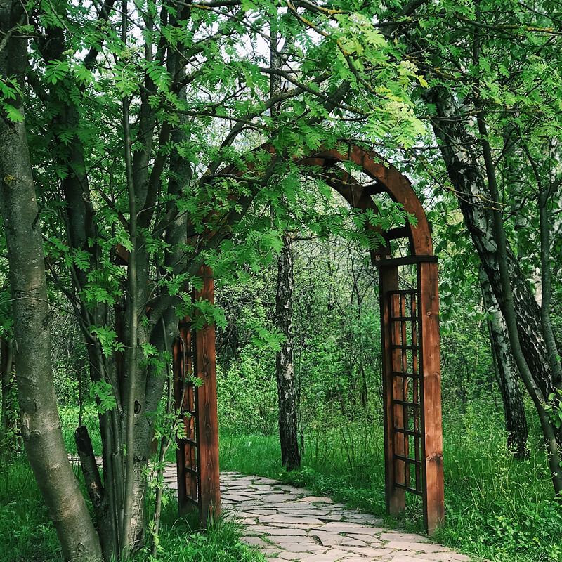 Живописные виды